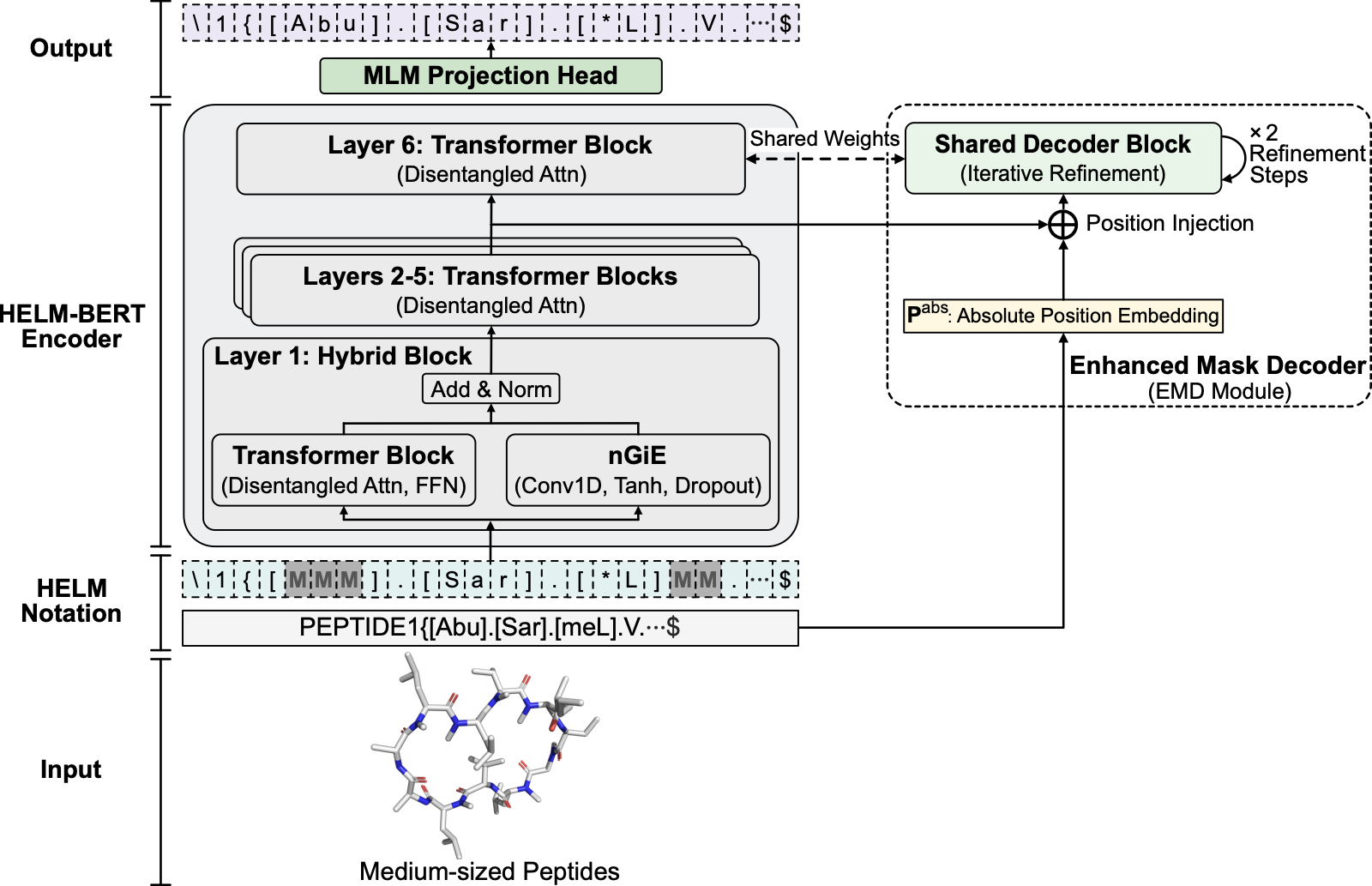 HELM-BERT architecture: encoder-only transformer pretrained on HELM notation, with a hybrid block combining nGIE convolution and disentangled attention, transformer layers, and an enhanced mask decoder.